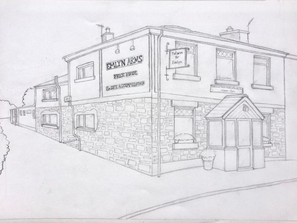 埃姆林住宿加早餐旅馆 Llanarthney 外观 照片